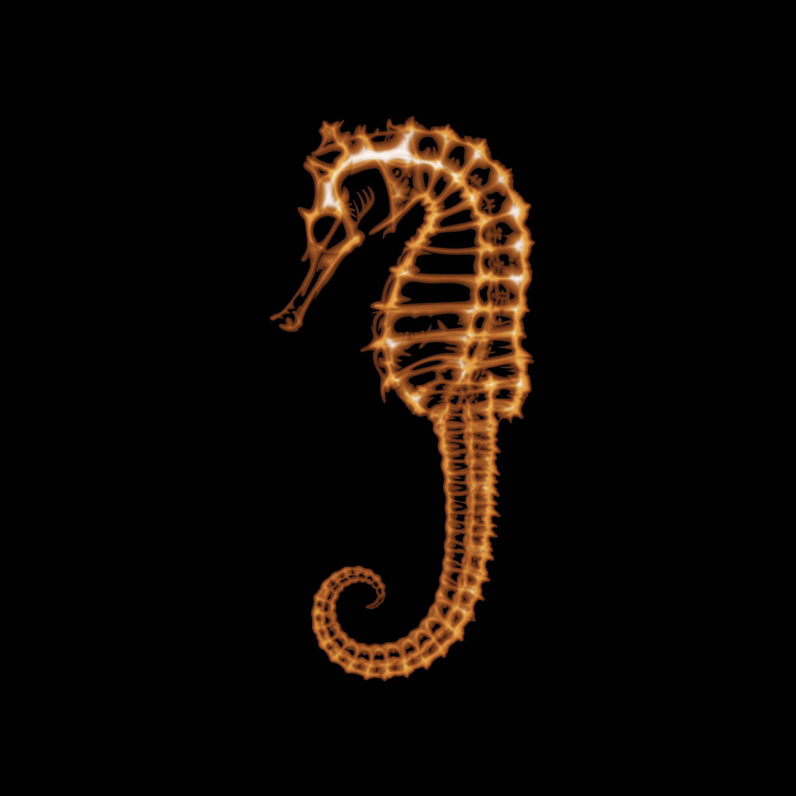 comprehensive-health-screening-services-in-malta